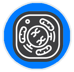 icon_cell2